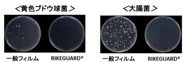 抗菌機能